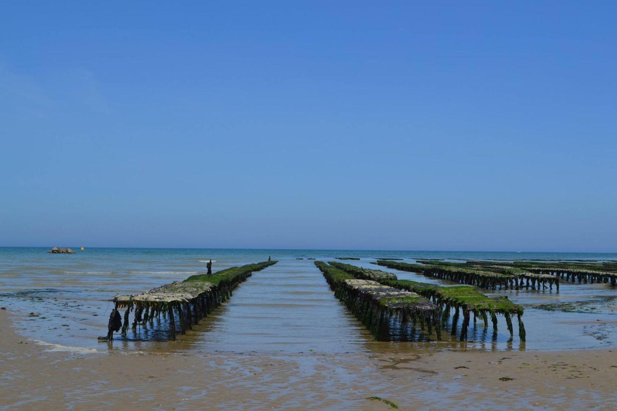 Les Pommiers Duplex Cosy Tout Confort Dans Maison Neuve Avec Terrasse Entree Independante 5 Mn De Bayeux Et 10 Mn Plage Du Debarquement Sommervieu Kültér fotó
